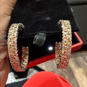 Elegant Gold and Silver Hoop Earrings